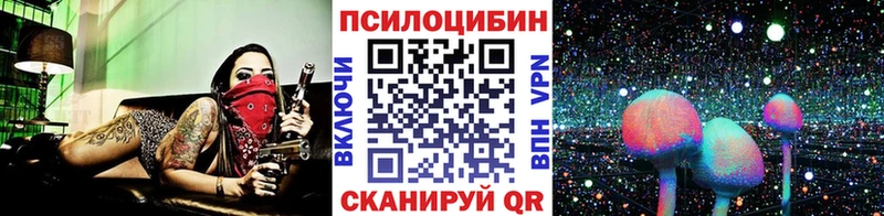 Купить где  Кушва  Галлюциногенные грибы GOLDEN TEACHER 
